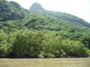 canon del sumidero 10